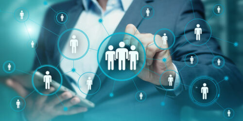 A brief insight into HR management software