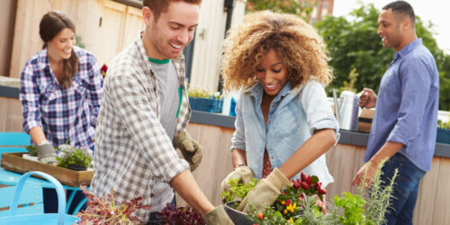 Benefits and guide to build a community garden