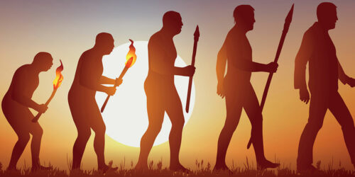 Evolution of society and its primary characteristics