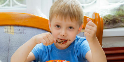 Healthy snack ideas for your kid’s lunch box