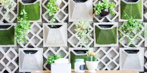 Here’s how you can brighten up your ordinary interiors using plants