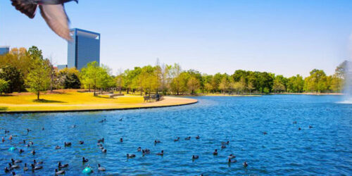 Here’s what you will find in the Texas waters during summer and spring