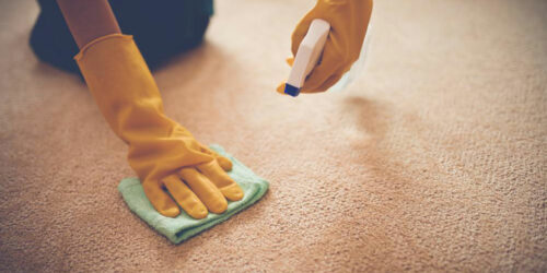 Here’s why and how to choose the best carpet stain removers