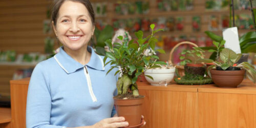 Planting zones – What they don’t tell