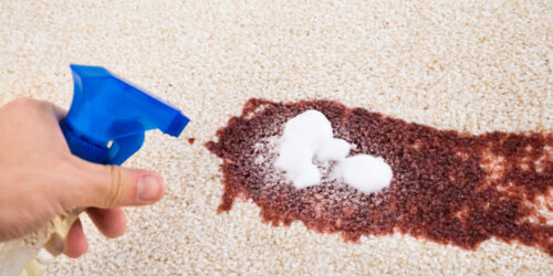Reasons Why You Should Invest In The Best Carpet Stain Removers