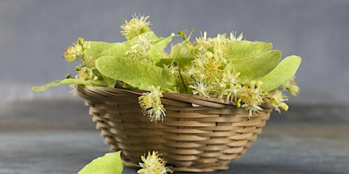 11 Natural Remedies to Cure Gout Effectively