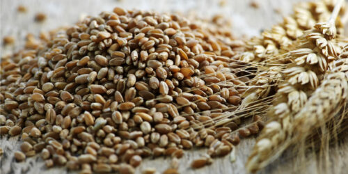 3 ways to manage leukemia symptoms