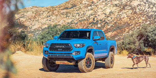 All you need to about the 2020 Toyota Tacoma