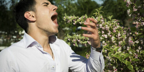 All You Need to Know about Allergy Cough Symptoms and Treatments