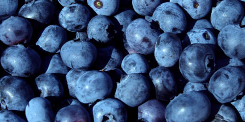 Foods, herbs, and remedies for managing lung cancer