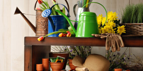 Tips for Choosing the Right Garden Supplies