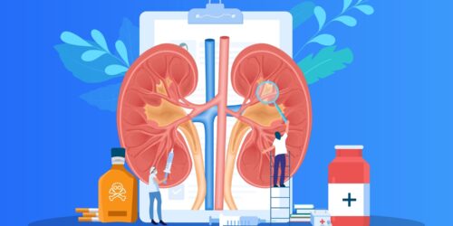 Signs Your Kidneys Need Cleaning