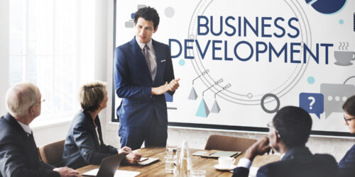 Strategies for Successful Business Development