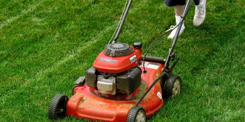Black Friday 2024 Lawn Mower Sale: The Best Deals and Savings on Lawn Care Equipment